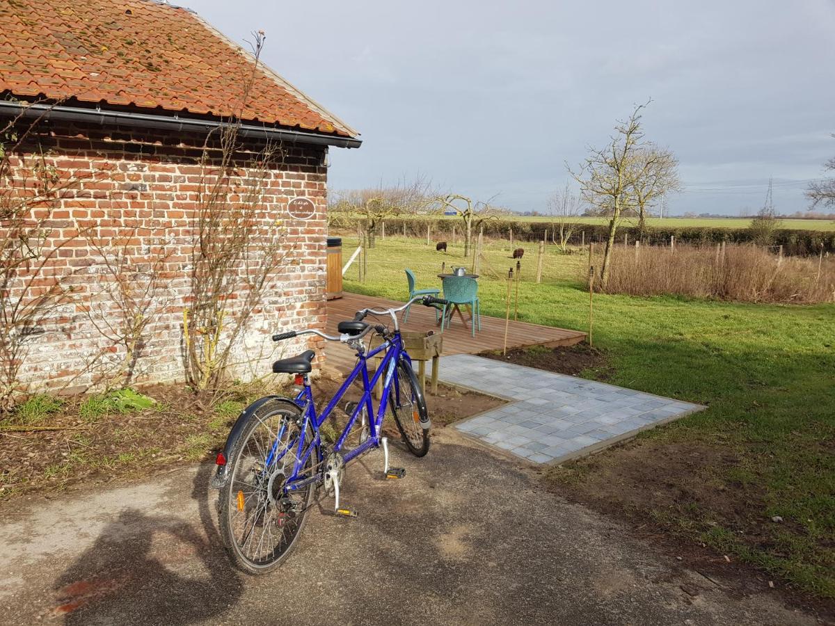 Le Gite "Des Voyageurs" Wormhout Exterior photo